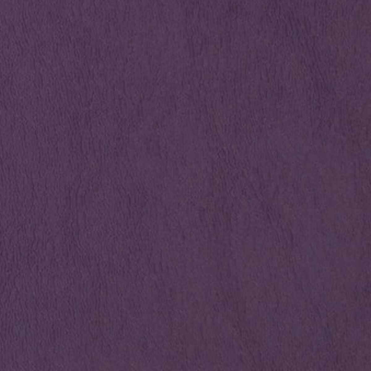 Chamea - Wood Violet