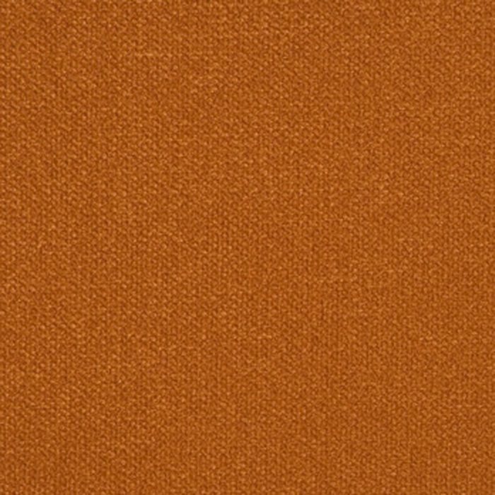 Bella - Persimmon