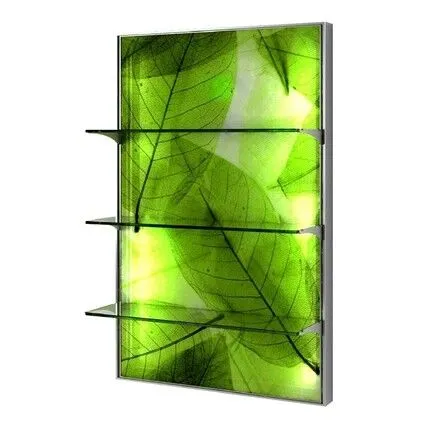 Expo Retail Display with Graphic