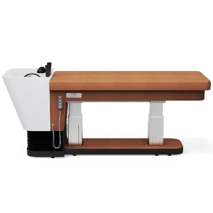 Shop the Zen Lift Head Spa Bed - Michele Pelafas