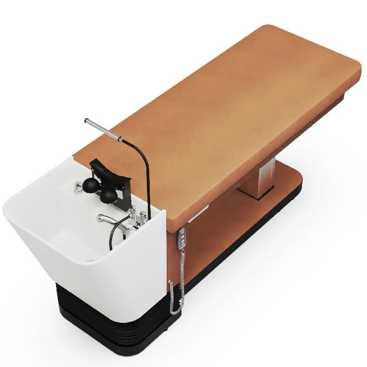 Shop the Zen Lift Head Spa Bed - Michele Pelafas