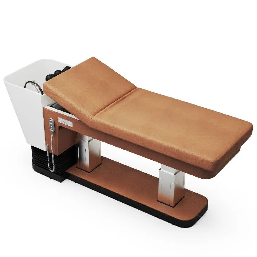 Shop the Zen Lift Head Spa Bed - Michele Pelafas