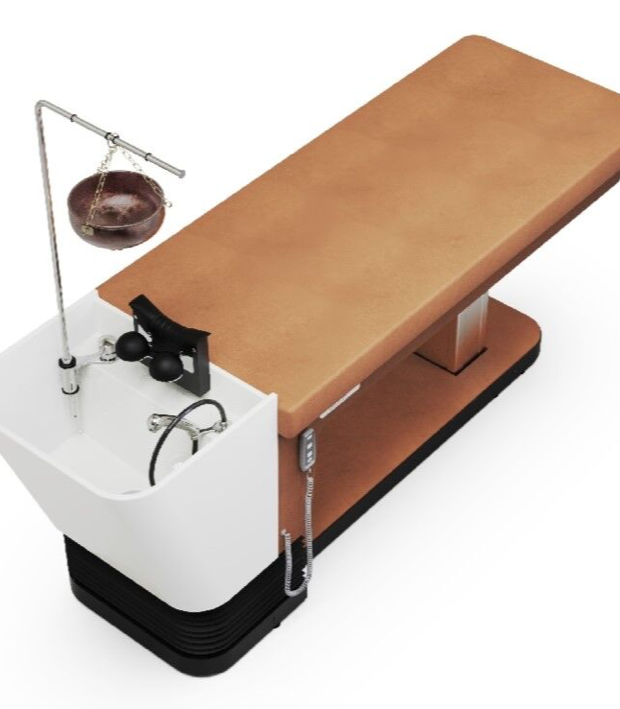 Shop the Zen Lift Head Spa Bed - Michele Pelafas