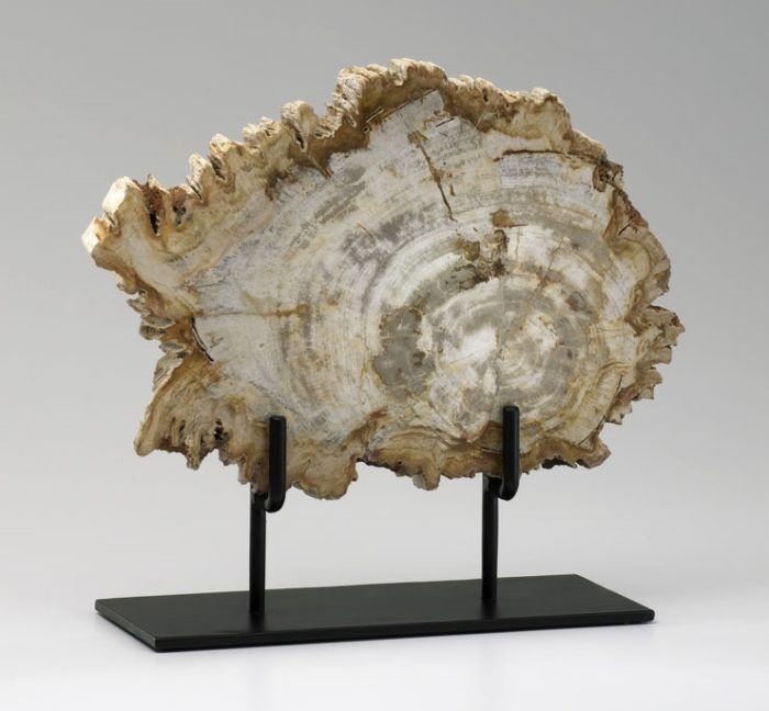 Petrified Wood Sculpture