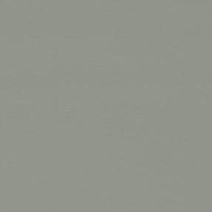 Seal Skin - Dove