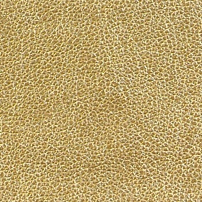 Metallic - Gold Dust