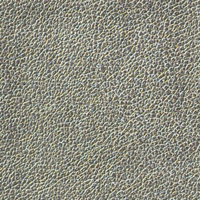 Metallic - Mercury