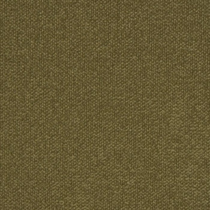 Bella - Basil