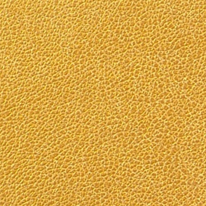 Metallic - Molton Gold