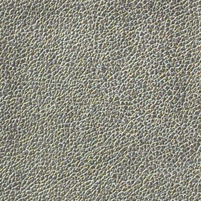 Metallic - Mercury