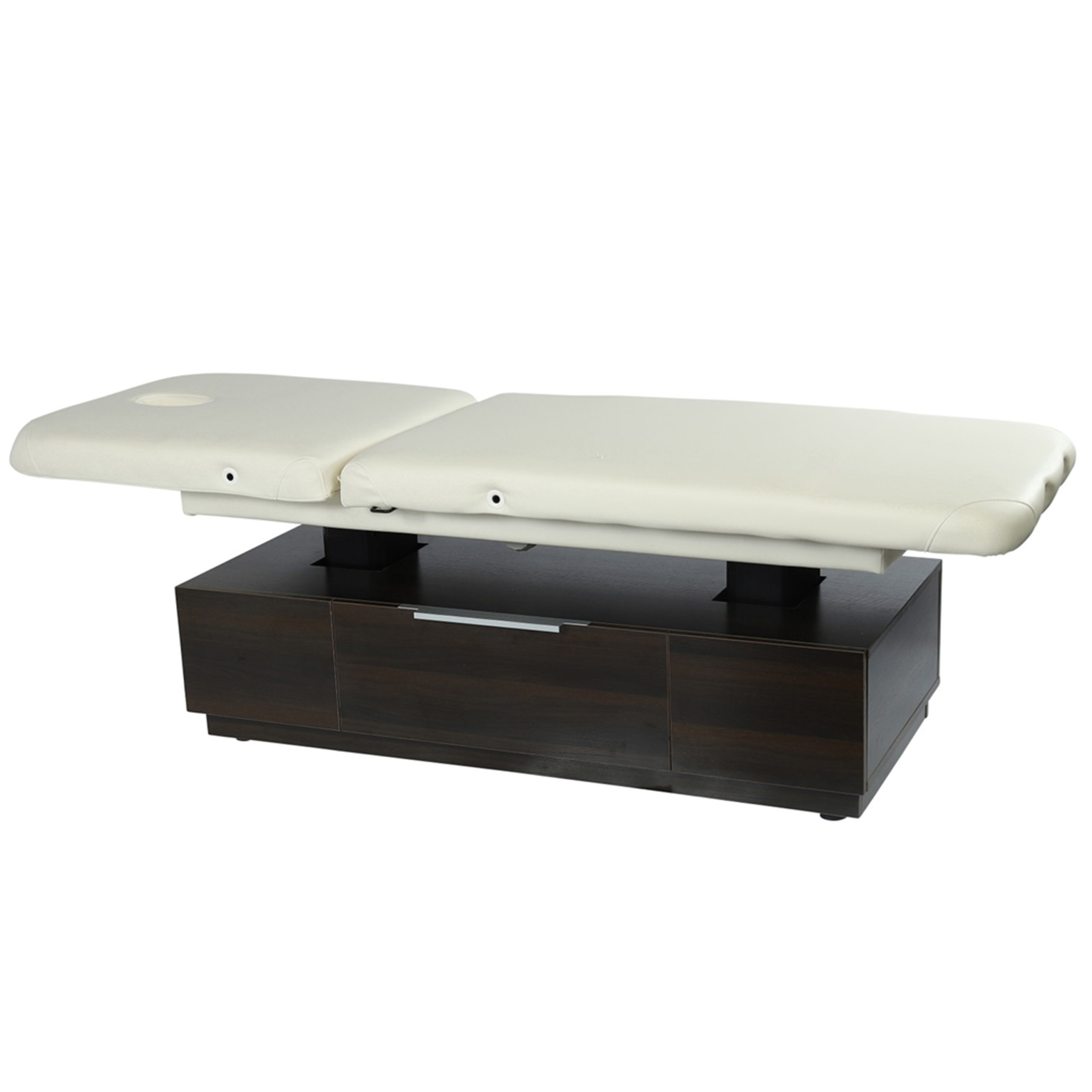 Mudra Electric Spa Massage Table - Michele Pelafas