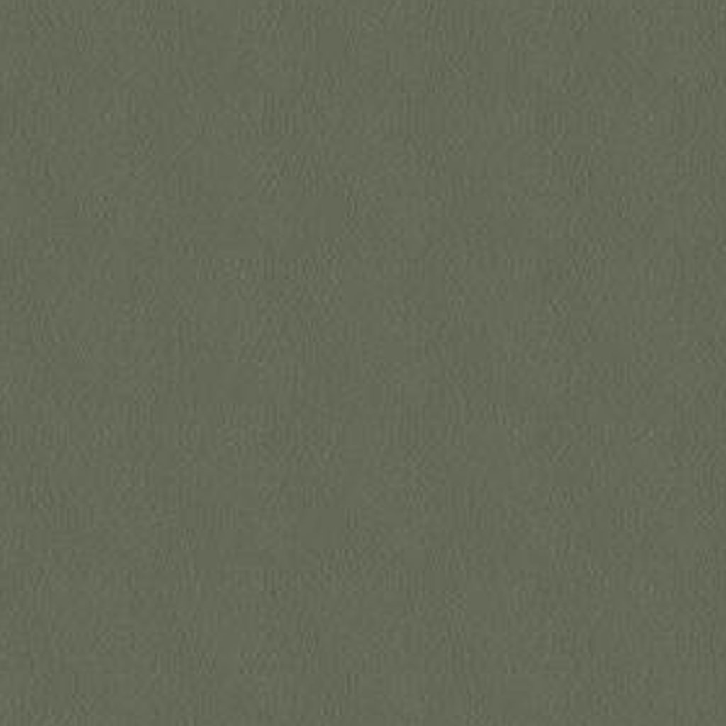 Touche – Olivette
