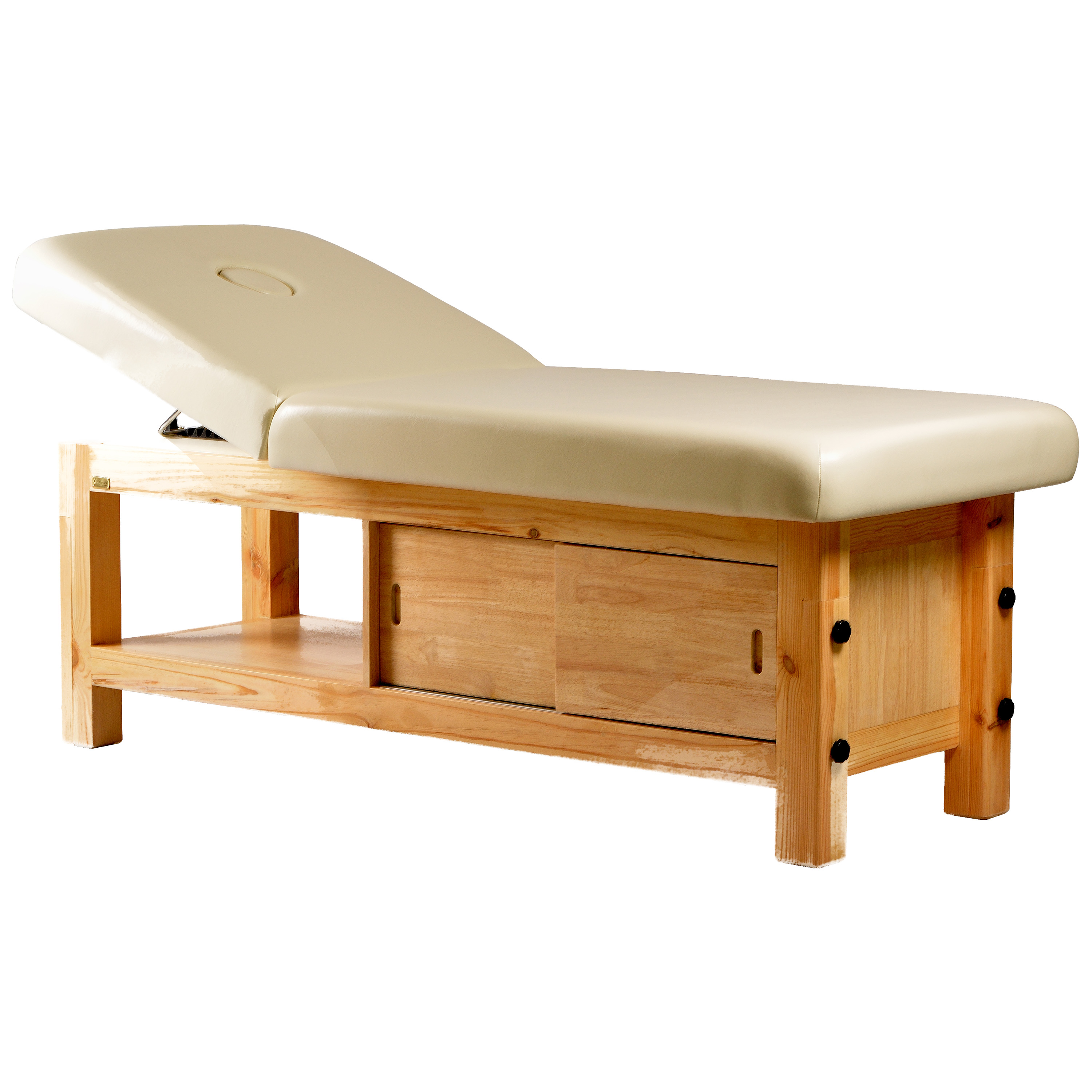 Mudra Electric Spa Massage Table - Michele Pelafas