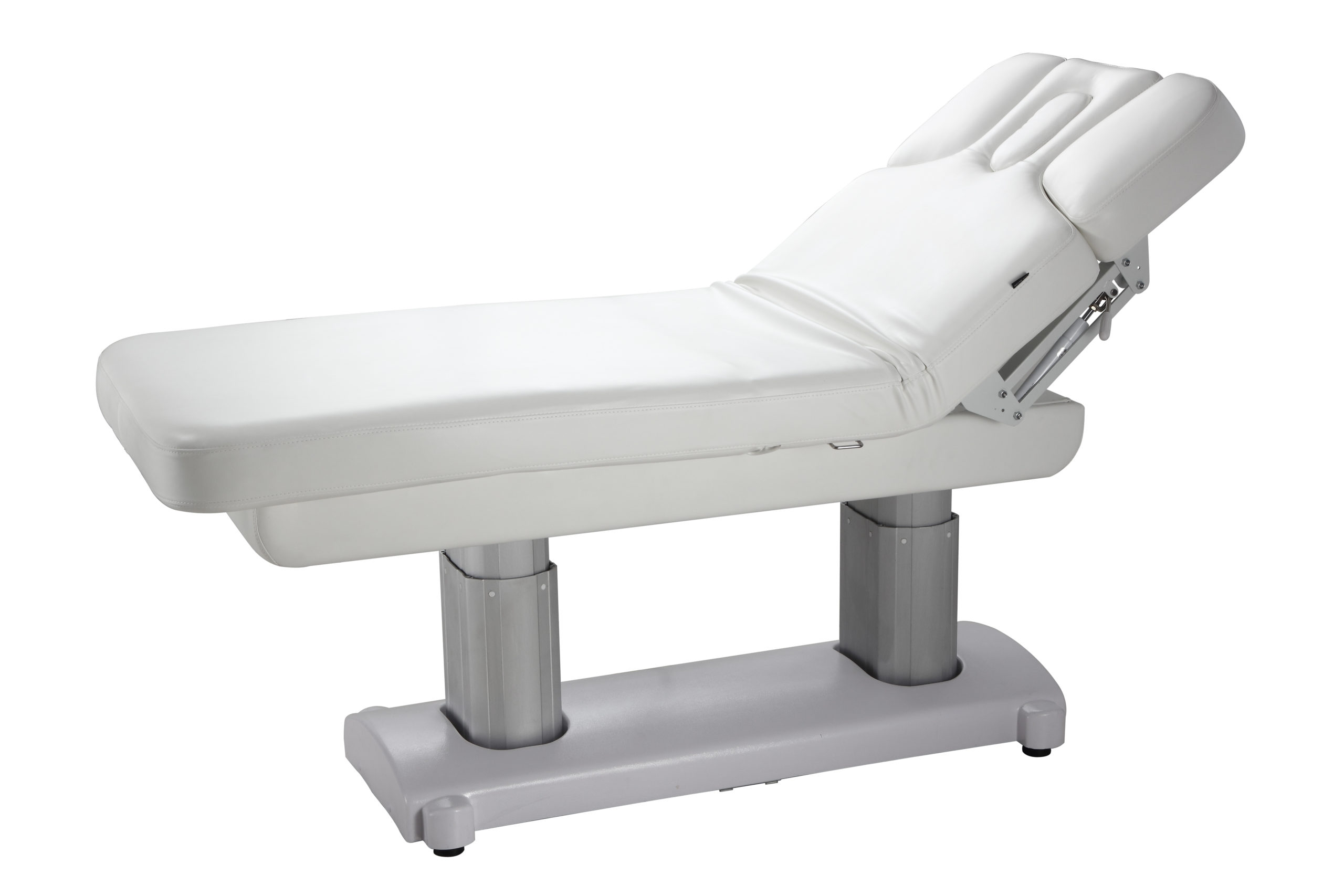 Mudra Electric Spa Massage Table - Michele Pelafas