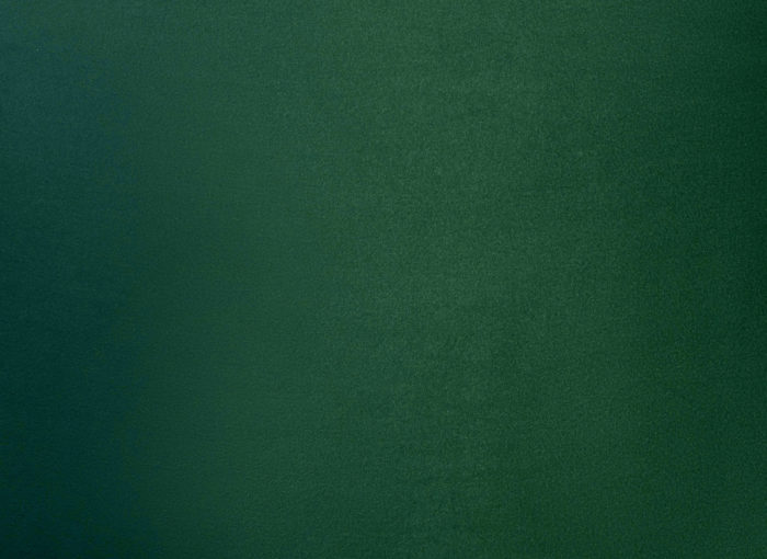 METROPOLITAN FOREST GREEN VELVET CHAIR - Image 5