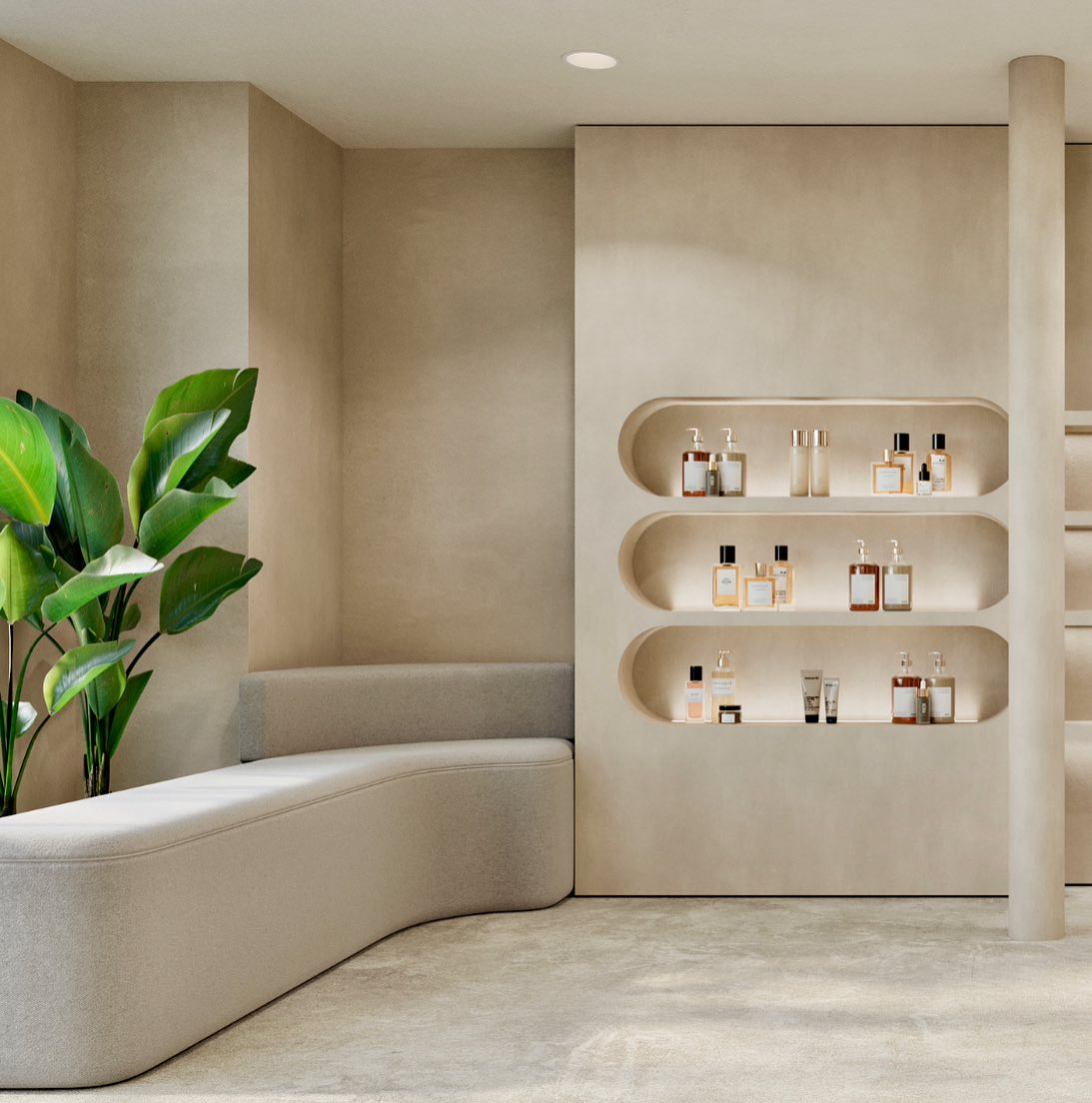 Modern interior with decorative shelves and lush green plant.